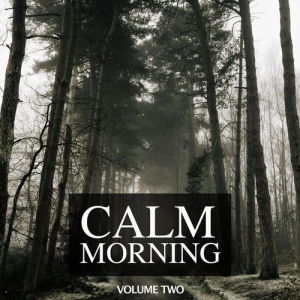 VA - Calm Morning, Vol. 2
