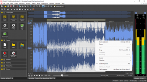 MAGIX SOUND FORGE Audio Studio 16.1.0.47 (x86/x64) [Multi]