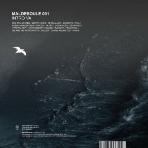 VA - Maldesoule 001