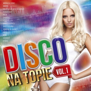 VA - Disco Na Topie vol.1