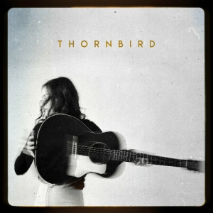 ThornBird - ThornBird