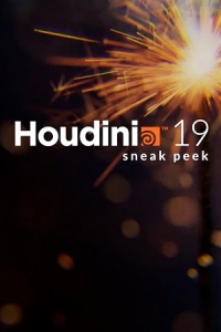 SideFx Houdini FX 19.5.303 [En]