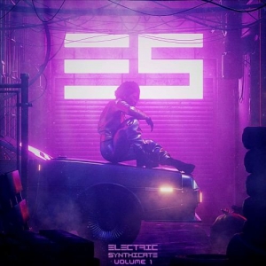 VA - Electric Synthicate Volume 1-4