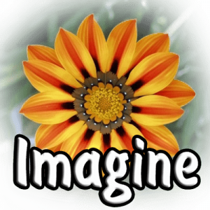 Imagine 1.1.9 + Portable + Plugins [Multi/Ru]