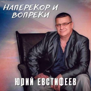 Юрий Евстифеев - Наперекор и вопреки