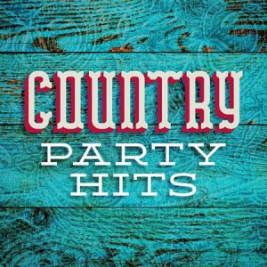VA - Country Party Hits