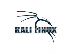 Kali Linux 2022.2 (ex. BackTrack) [amd64, i386, arm] 8xDVD, 3xCD Аудит безопасности, хакинг.