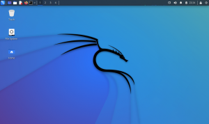 Kali Linux 2022.2 (ex. BackTrack) [amd64, i386, arm] 8xDVD, 3xCD  , .