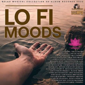 VA - Lo-Fi Moods