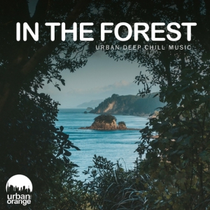VA - In the Forest: Urban Deep Chill Music