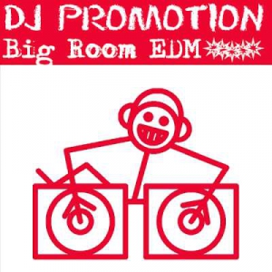 VA - DJ Promotion CD Pool Big Room [491]
