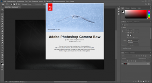 Adobe Photoshop 2022 23.4.2.603 + Neural Filters RePack by PooShock [Multi/Ru]