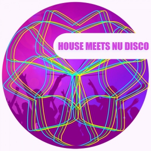 VA - House Meets Nu Disco