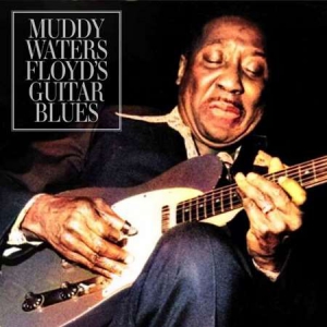Muddy Waters - Floyd's Guitar Blues [Live]