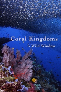 Окно дикой природы - Королевство кораллов
