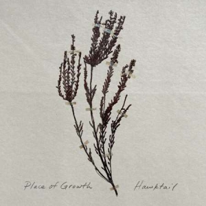 Hawktail - Place of Growth