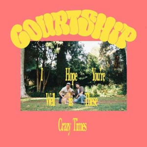 Courtship. - I hope you're well in these crazy times
