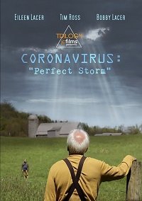  Коронавирус: Идеальный шторм