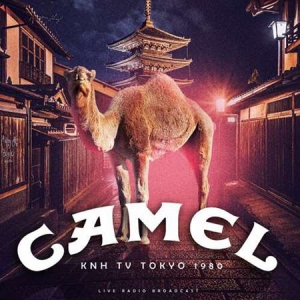 Camel - KNH Tokyo 1980 (live)