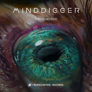 Minddigger - Introspection