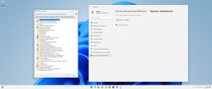 Microsoft Windows 11 [10.0.22621.819], Version 22H2 (Updated November 2022) - Оригинальные образы от Microsoft MSDN [Ru]