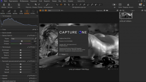 Phase One Capture One Pro 22 15.4.2.10 Portable by conservator [Multi/Ru]