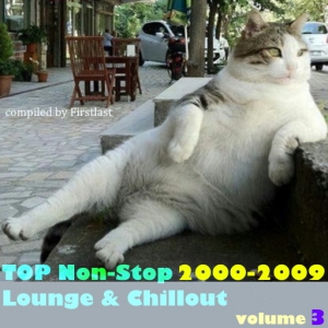  VA - TOP Non-Stop 2000-2009 - Lounge & Chillout. Volume 3