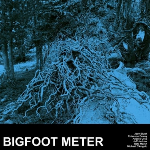 Bigfoot Meter - Bigfoot Meter