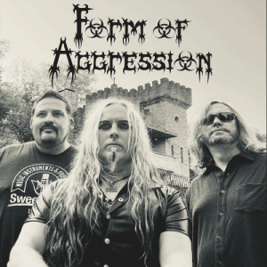 Form Of Aggression - Form Of Aggression