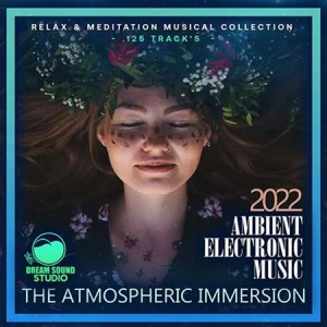 VA - The Atmospheric Immersion