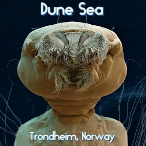Dune Sea - 3 Albums
