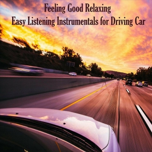 VA - Feeling Good Relaxing: Easy Listening Instrumentals for Driving Car