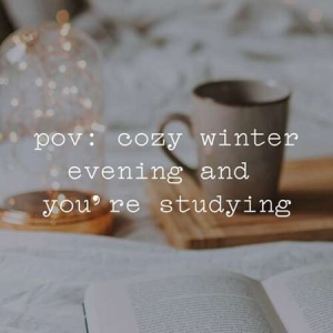 VA - pov: cozy winter evening and you’re studying