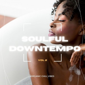 VA - Soulful Downtempo Vol. 2 (Organic Chill Vibes)