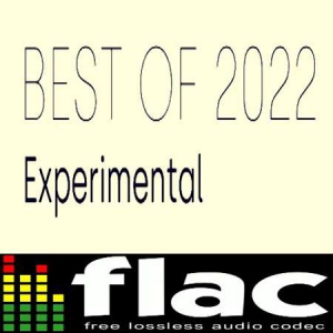 VA - Best of 2022 - Experimental