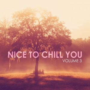 VA - Nice To Chill You, Vol. 3