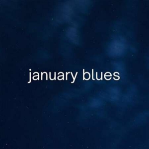 VA - january blues
