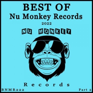 VA - Best Of Nu Monkey Records 2022 Part 2