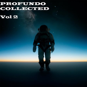   Danilo Ercole - Profundo Collected Vol.2