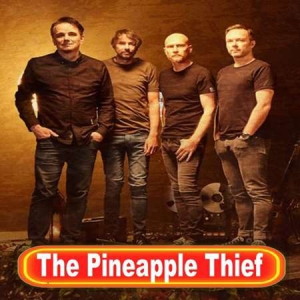 The Pineapple Thief - Collection