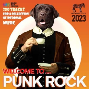 VA - Welcome To Punk Rock