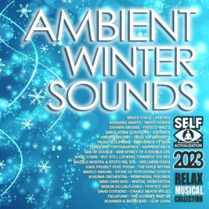 VA - Ambient Winter Sounds