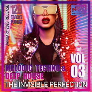 VA - The Invisible Perfection Vol.03
