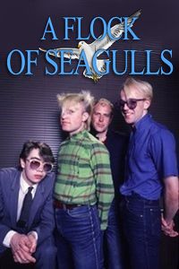 A Flock Of Seagulls - Collection