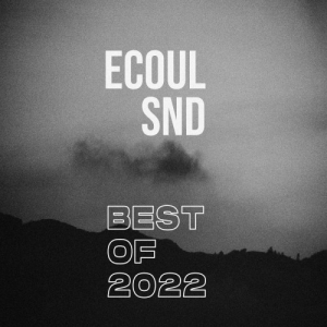 VA - Best of 2022 ECOUL SND