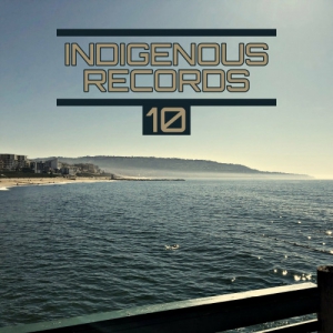 VA - Indigenous Records 10