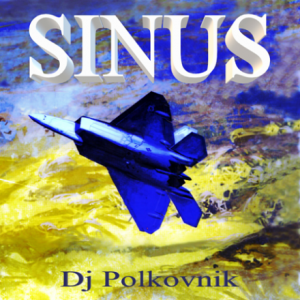 DJ Polkovnik - Sinus