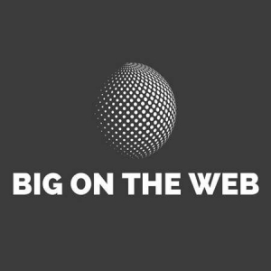 VA - Big on the Web