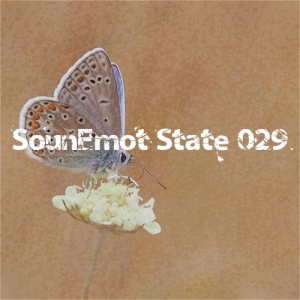 VA - SounEmot State 029