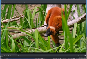 Media Player Classic - Black Edition 1.7.0 Stable + Portable + Standalone Filters [Multi/Ru]